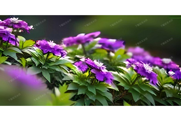 武汉桑拿新天地，畅享休闲好去处